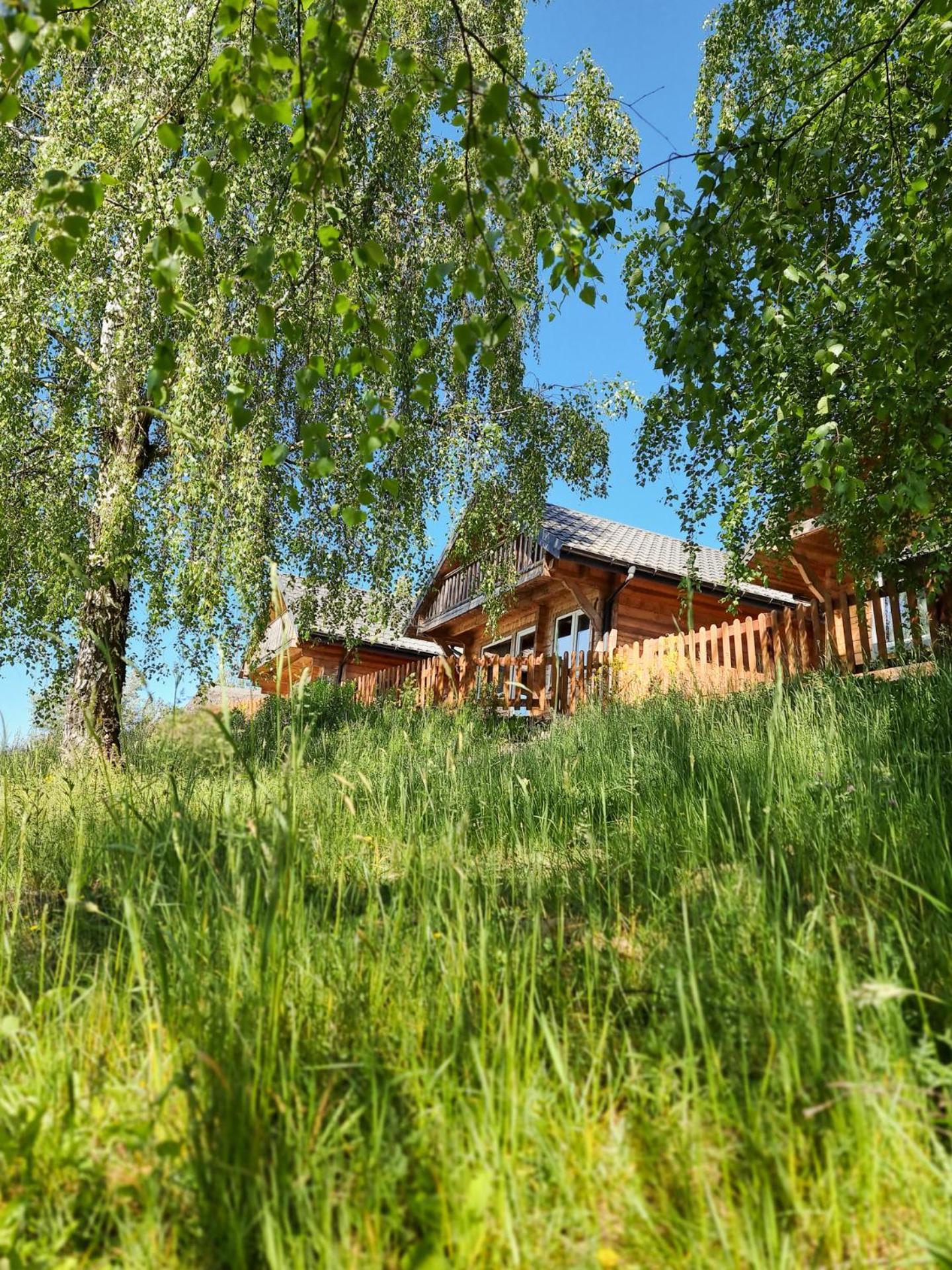 Osada Kryspinow Otel Cholerzyn Dış mekan fotoğraf